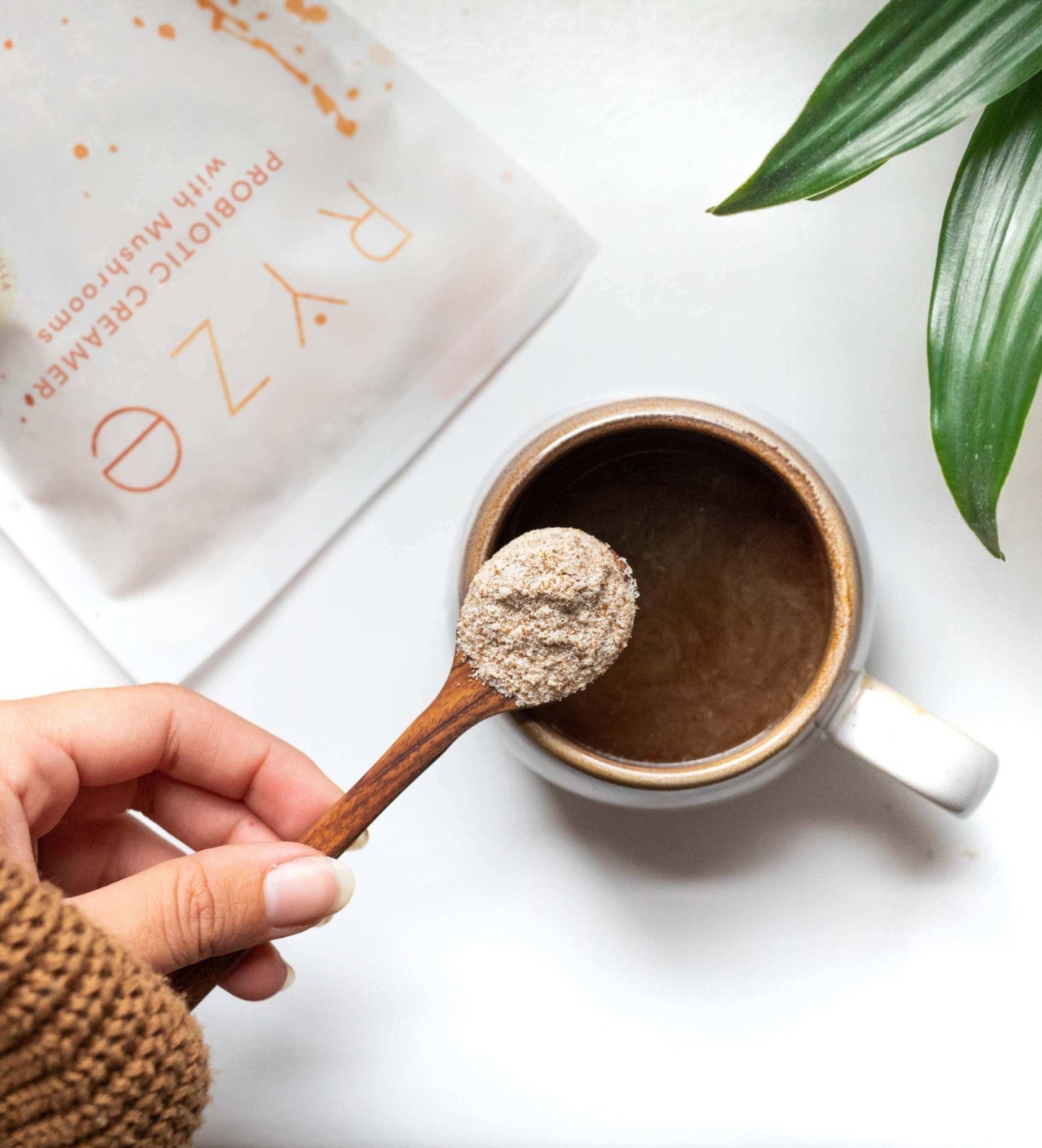 Try our Probiotic Creamer for 50% OFF! - GQEE