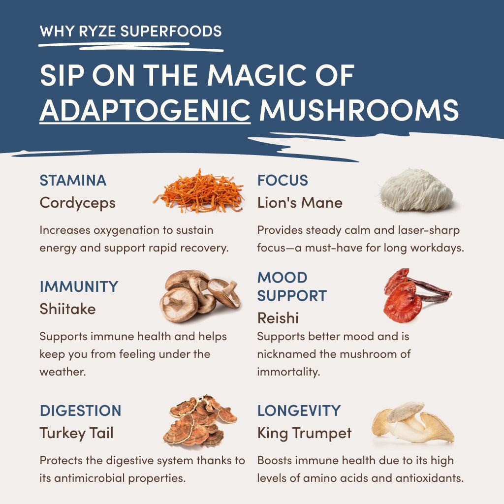 RYZE Nighttime Mushroom Cocoa Starter Bag - 78HC
