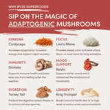 RYZE Mushroom Chai Starter Bag - M7M0