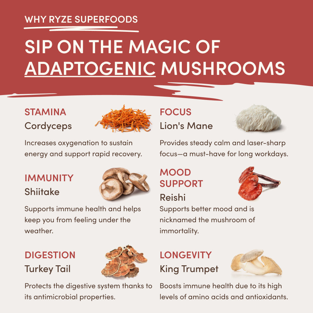 RYZE Mushroom Chai Starter Bag - M7M0