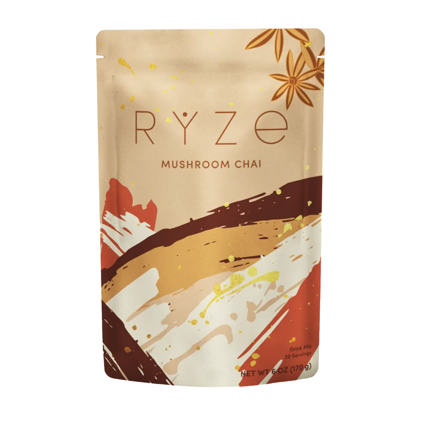 Mushroom Chai (1 Pack - 20 Servings) - ETZE