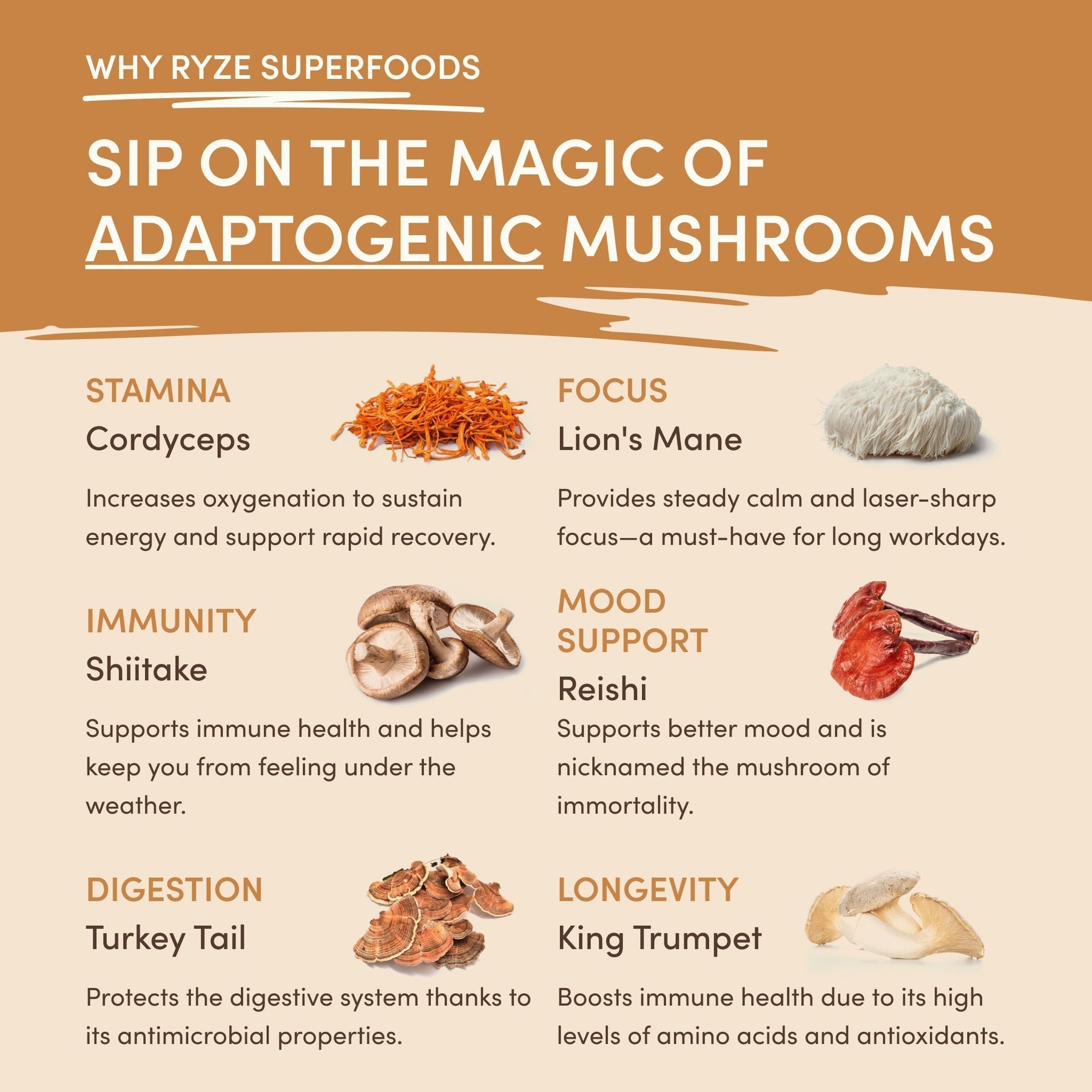 Mushroom Overnight Oats 14 Servings - 27PK