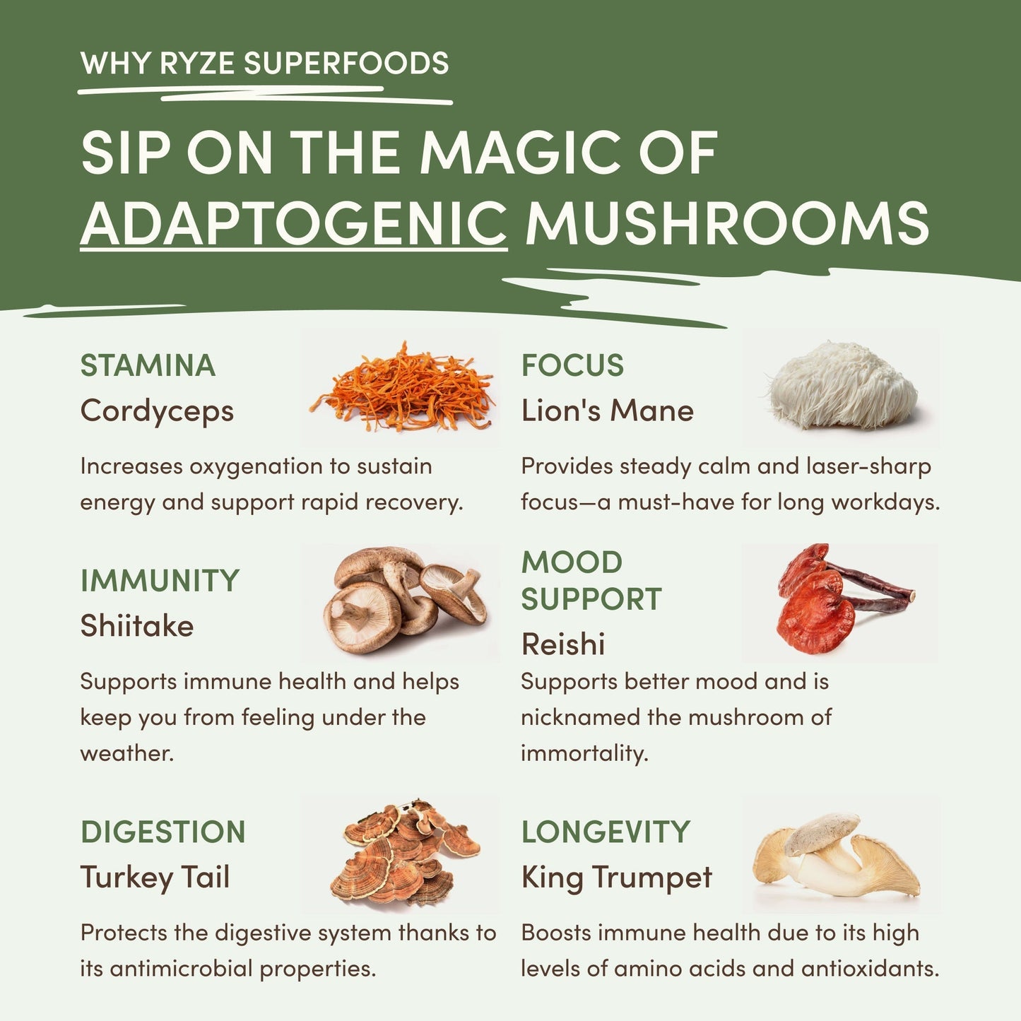 Mushroom Matcha (1 Pack - 30 Servings) - 02FC