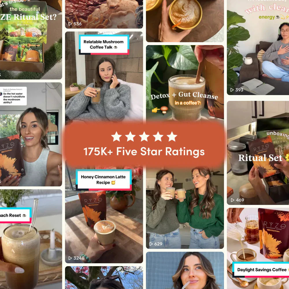 Mushroom Coffee 30 Serving - 5E8B