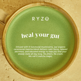 RYZE Mushroom Matcha - with 6 Organic Adaptogenic Mushrooms Grown In USA and Ceremonial-Grade Japanese Matcha - 2DFO