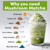 RYZE Organic Mushroom Matcha Starter Kit (60 servings) - B2K7