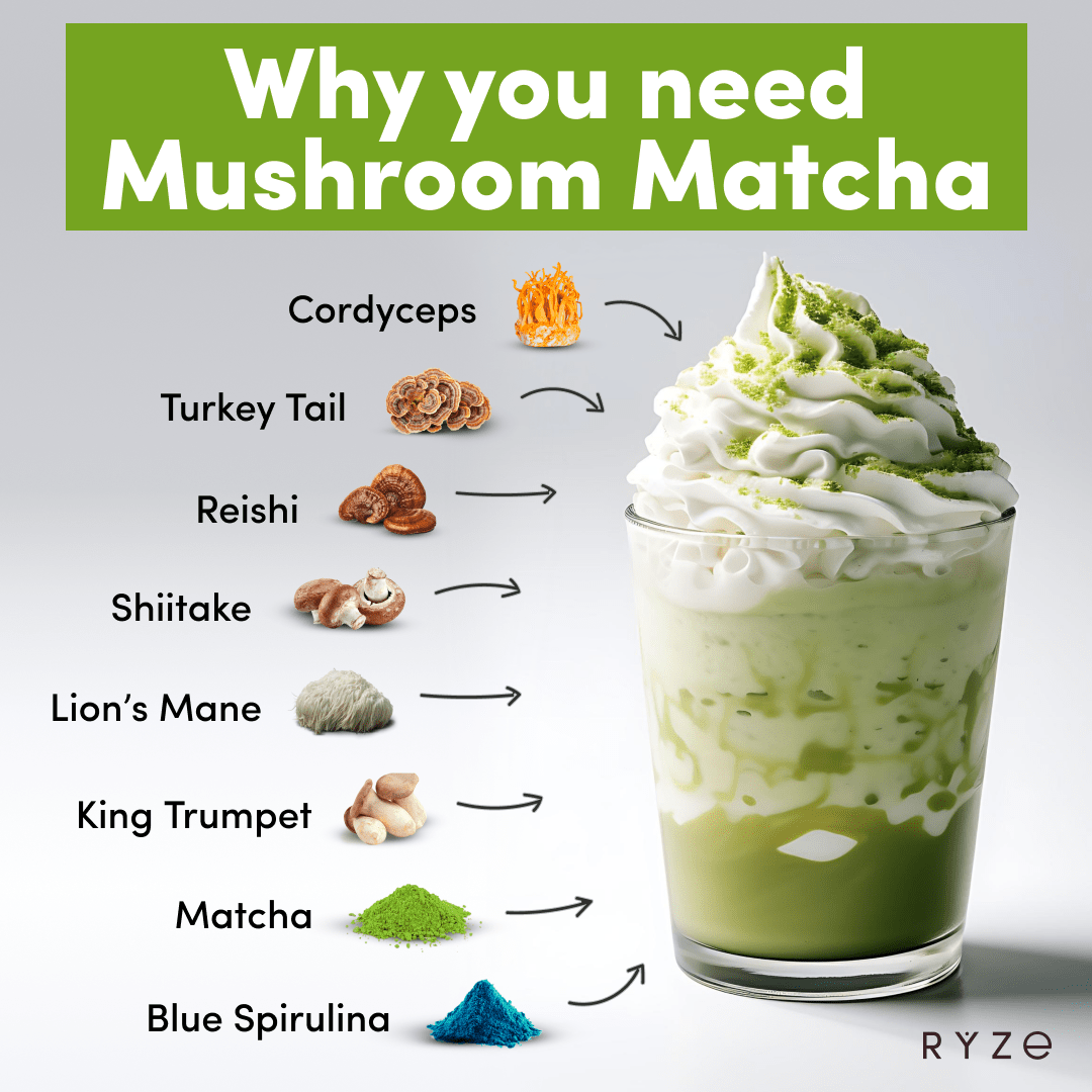RYZE Organic Mushroom Matcha Starter Kit (60 servings) - B2K7